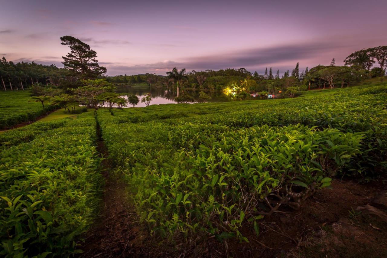 Bubble Lodge Bois Cheri Plantation Экстерьер фото