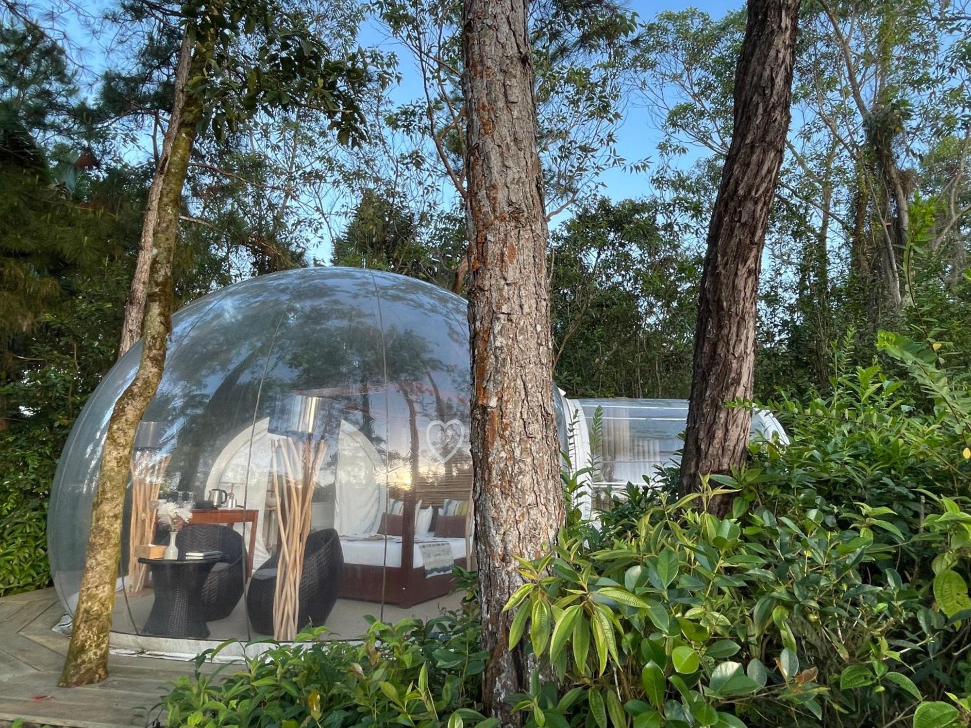 Bubble Lodge Bois Cheri Plantation Экстерьер фото